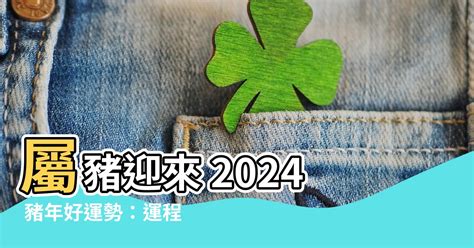 豬年2024運程|【2024豬年】生肖豬2024好運滾滾來！屬豬運勢、幸。